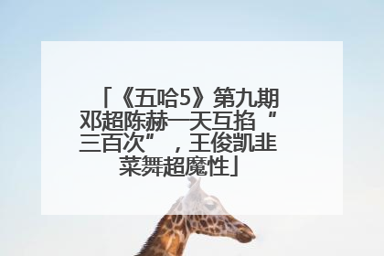 《五哈5》第九期邓超陈赫一天互掐“三百次”，王俊凯韭菜舞超魔性