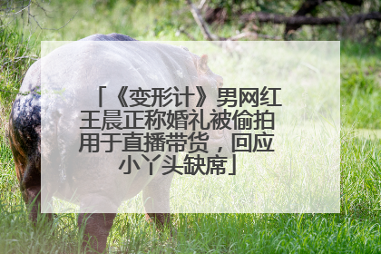 《变形计》男网红王晨正称婚礼被偷拍用于直播带货，回应小丫头缺席