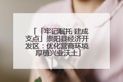 「牢记嘱托 建成支点」崇阳县经济开发区：优化营商环境 厚植兴业沃土