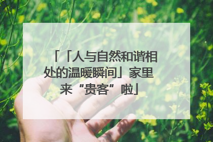 「人与自然和谐相处的温暖瞬间」家里来“贵客”啦