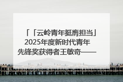 「云岭青年挺膺担当」2025年度新时代青年先锋奖获得者王敏奇——澜沧江上好渔人