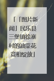 「图片新闻」民乐县三堡镇徐寨村的油菜花竞相绽放