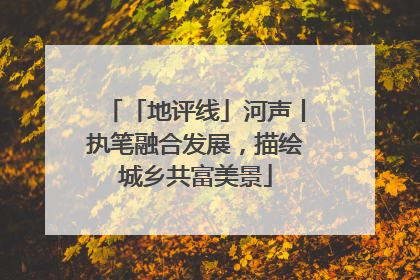 「地评线」河声丨执笔融合发展，描绘城乡共富美景