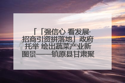「强信心 看发展·招商引资拼落地」政府托举 绘出蔬菜产业新图景——镇原县甘肃聚广利现代设施蔬菜种植基地见闻