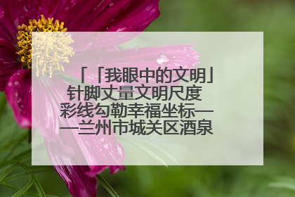 「我眼中的文明」针脚丈量文明尺度 彩线勾勒幸福坐标——兰州市城关区酒泉路街道办事处