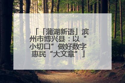 「蒲湖新语」滨州市博兴县：以“小切口”做好数字惠民“大文章”