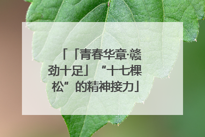 「青春华章·赣劲十足」“十七棵松”的精神接力