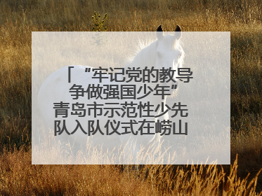 “牢记党的教导 争做强国少年”青岛市示范性少先队入队仪式在崂山区举办