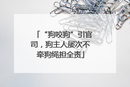 “狗咬狗”引官司，狗主人屡次不牵狗绳担全责