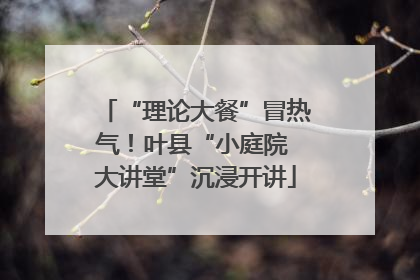“理论大餐”冒热气！叶县“小庭院 大讲堂”沉浸开讲