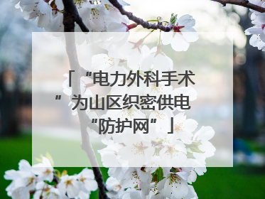 “电力外科手术”为山区织密供电“防护网”