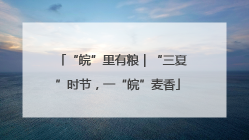 “皖”里有粮｜“三夏”时节，一“皖”麦香