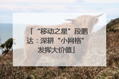 “移动之星”段鹏达：深耕“小网格” 发挥大价值