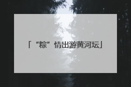 “粽”情出游黄河坛