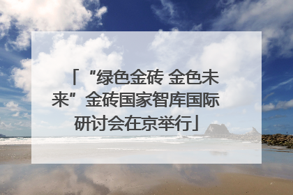 “绿色金砖 金色未来”金砖国家智库国际研讨会在京举行