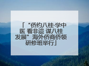 “侨约八桂·学中医 看非遗 谋八桂发展”海外侨商侨领研修班举行