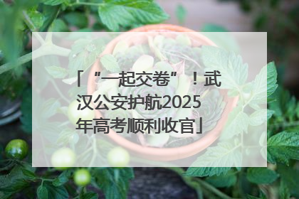 “一起交卷”！武汉公安护航2025年高考顺利收官