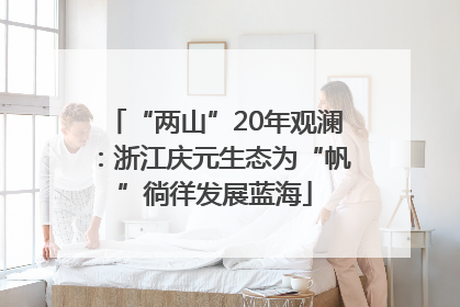 “两山”20年观澜：浙江庆元生态为“帆”徜徉发展蓝海