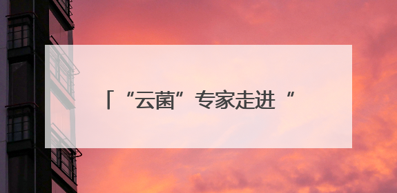 “云菌”专家走进“彩云英才荟”解读“一朵蘑菇”的产业未来