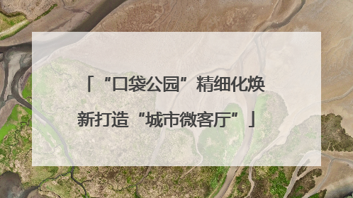 “口袋公园”精细化焕新打造“城市微客厅”