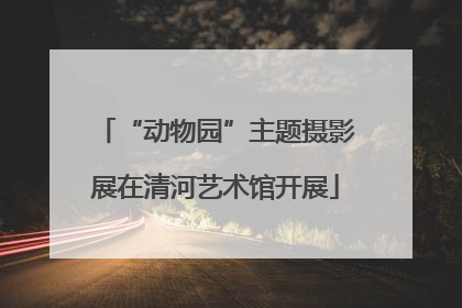 “动物园”主题摄影展在清河艺术馆开展