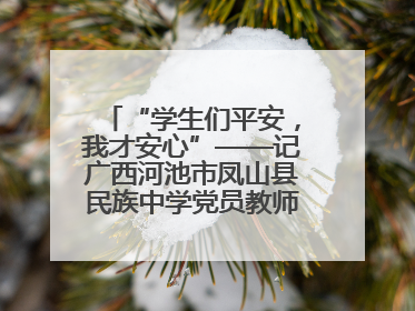 “学生们平安，我才安心”——记广西河池市凤山县民族中学党员教师汤冬萍