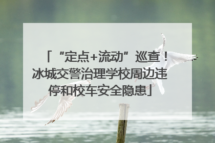 “定点+流动”巡查！冰城交警治理学校周边违停和校车安全隐患