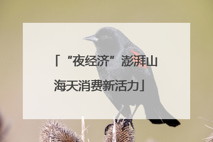 “夜经济”澎湃山海天消费新活力