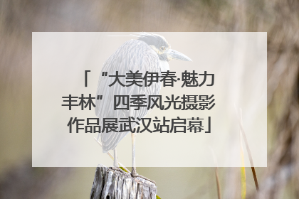“大美伊春·魅力丰林”四季风光摄影作品展武汉站启幕