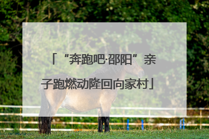 “奔跑吧·邵阳”亲子跑燃动隆回向家村