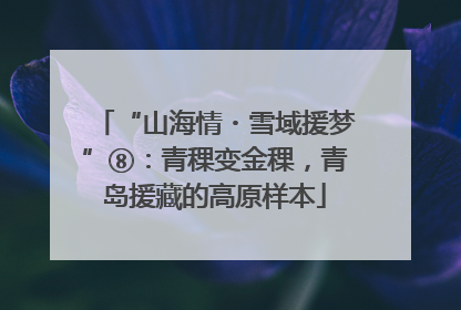 “山海情・雪域援梦”⑧：青稞变金稞，青岛援藏的高原样本