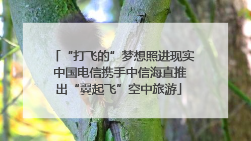 “打飞的”梦想照进现实 中国电信携手中信海直推出“翼起飞”空中旅游