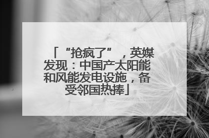 “抢疯了”，英媒发现：中国产太阳能和风能发电设施，备受邻国热捧