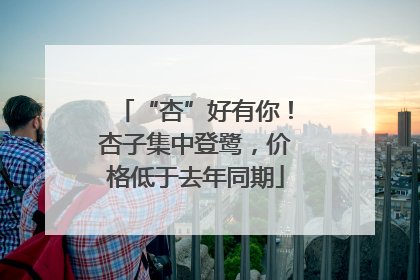 “杏”好有你！杏子集中登鹭，价格低于去年同期
