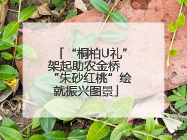 “桐柏U礼”架起助农金桥 “朱砂红桃”绘就振兴图景