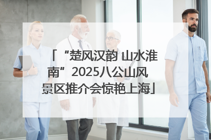 “楚风汉韵 山水淮南”2025八公山风景区推介会惊艳上海