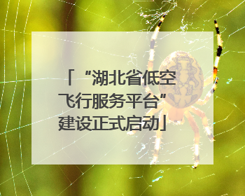 “湖北省低空飞行服务平台”建设正式启动