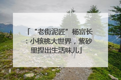 “老街泥匠”杨富长：小核桃大世界，紫砂里捏出生活味儿