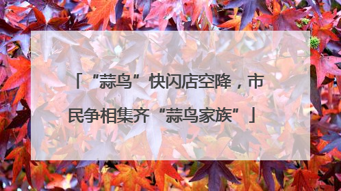 “蒜鸟”快闪店空降，市民争相集齐“蒜鸟家族”
