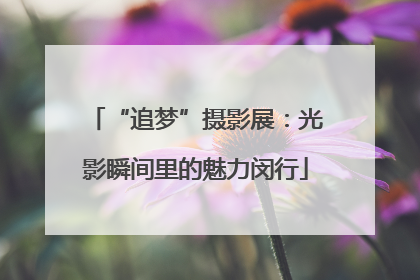 “追梦”摄影展：光影瞬间里的魅力闵行