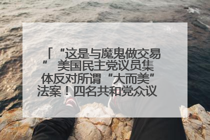 “这是与魔鬼做交易” 美国民主党议员集体反对所谓“大而美”法案！四名共和党众议员投反对票