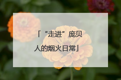 “走进”庞贝人的烟火日常