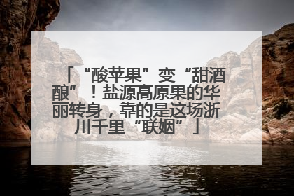 “酸苹果”变“甜酒酿”！盐源高原果的华丽转身，靠的是这场浙川千里“联姻”