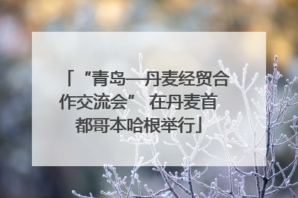 “青岛—丹麦经贸合作交流会” 在丹麦首都哥本哈根举行