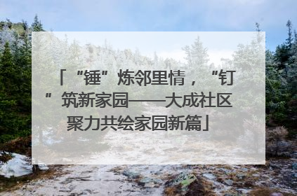 “锤”炼邻里情，“钉”筑新家园——大成社区聚力共绘家园新篇