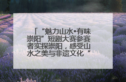 “魅力山水•有味崇阳”短剧大赛参赛者实探崇阳，感受山水之美与非遗文化“提琴戏”魅力