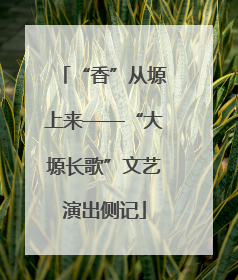 “香”从塬上来——“大塬长歌”文艺演出侧记