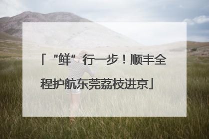 “鲜”行一步！顺丰全程护航东莞荔枝进京