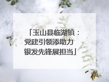 玉山县临湖镇：党建引领添助力 银发先锋展担当