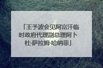王予波会见阿富汗临时政府代理副总理阿卜杜·萨拉姆·哈纳菲